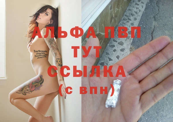 сатива Кукмор