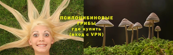 сатива Кукмор