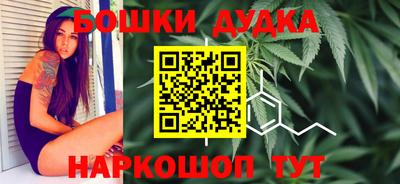 гидропоника Дубна