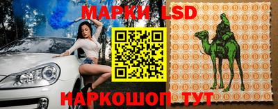 гидропоника Дубна