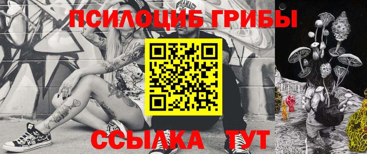 Миллерово  Псилоцибиновые грибы Psilocybe  Вход с VPN 