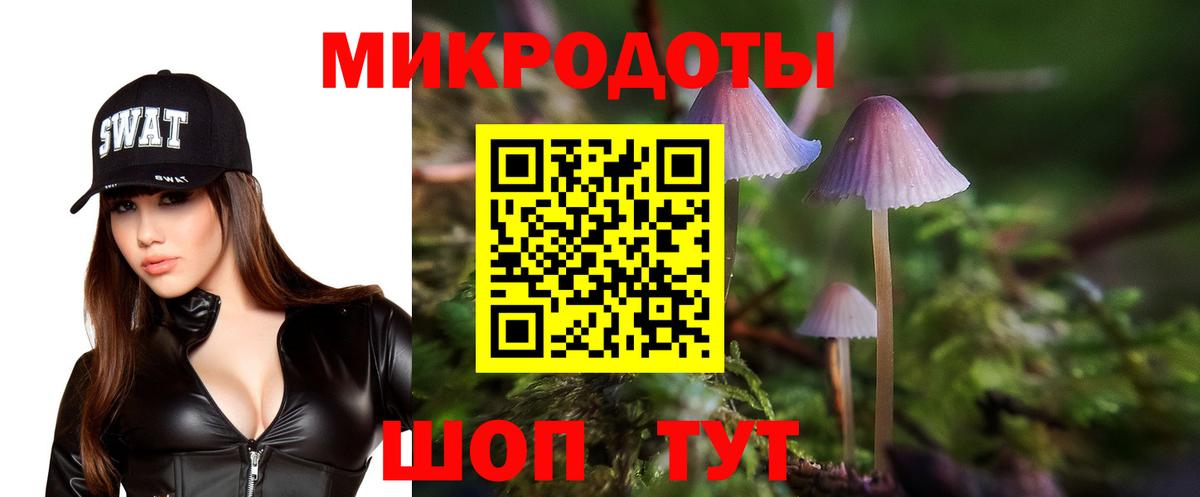 Псилоцибиновые грибы MAGIC MUSHROOMS Миллерово