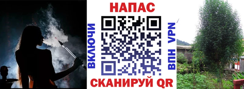 Бошки Шишки VHQ  Миллерово 