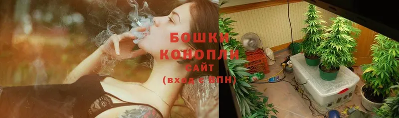 Бошки марихуана OG Kush  Миллерово 