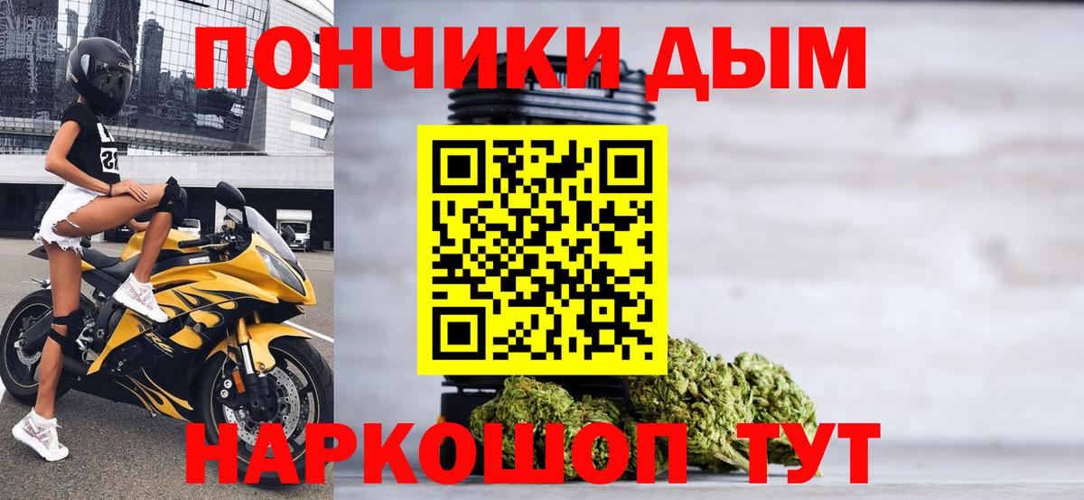 Канабис семена  Марихуана семена  Конопля сатива  Миллерово  Марихуана семена 