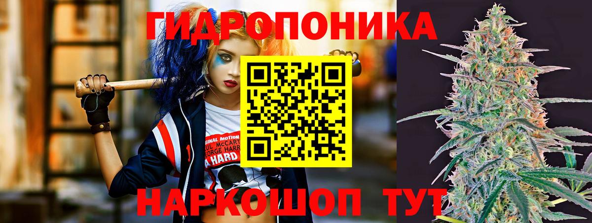 Марихуана конопля  Вход с VPN  Бошки марихуана семена  Миллерово  Бошки Шишки Ganja  Бошки марихуана White Widow 